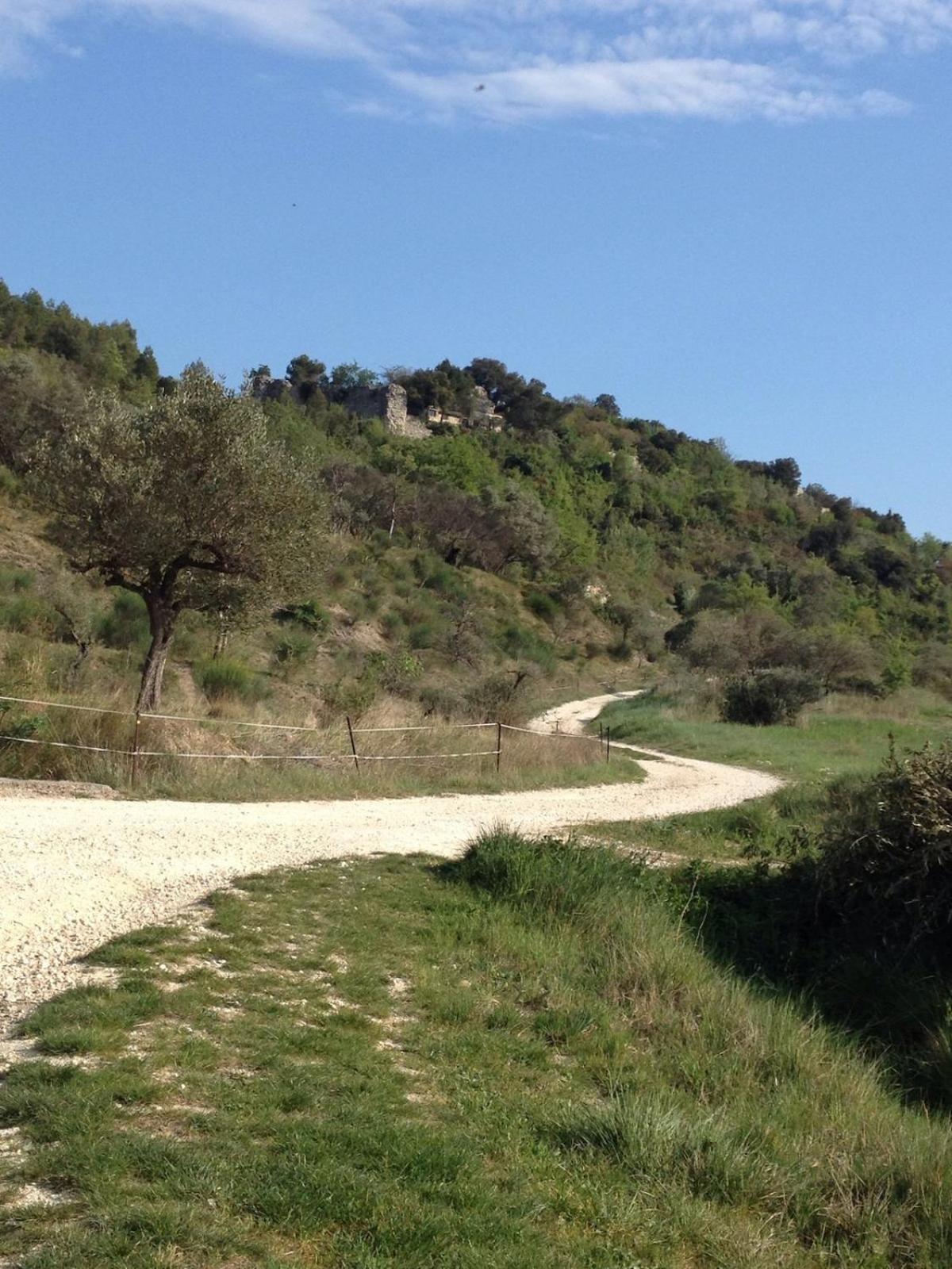 Le Castellas - Gite En Pleine Nature Montmirat Buitenkant foto