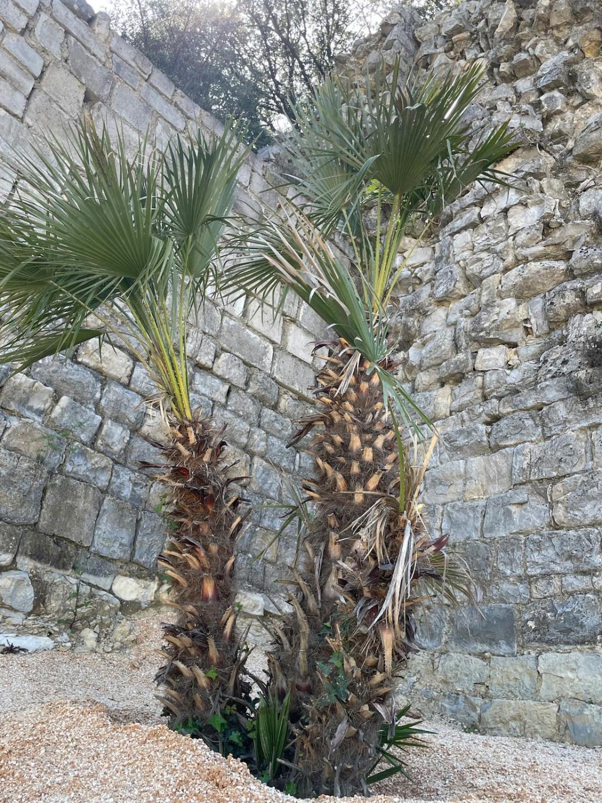 Le Castellas - Gite En Pleine Nature Montmirat Buitenkant foto